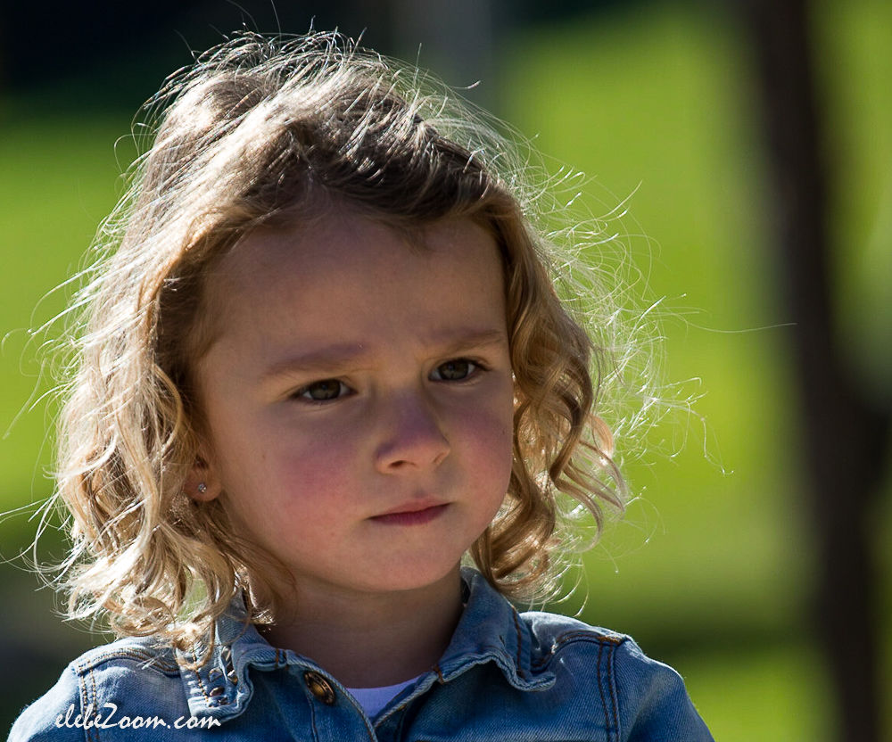 Retrato Familiar by Luis Bañeres - img-0595-2.jpg